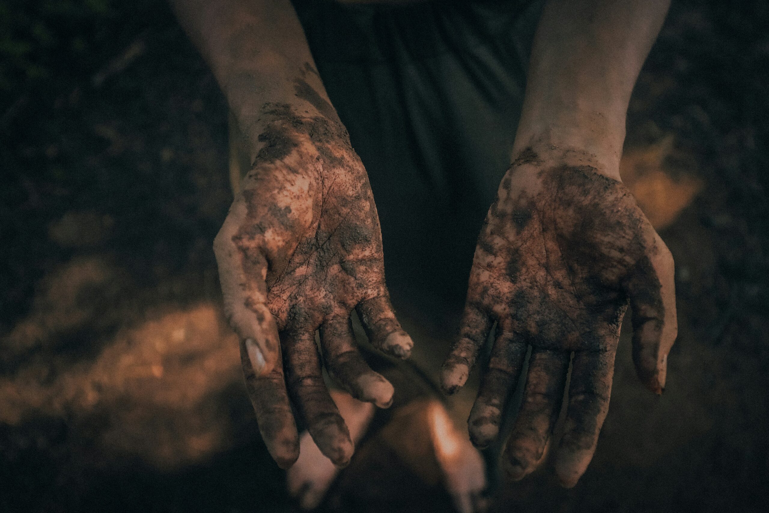 chris-yang-zpg3x9pxs_8-unsplash-media