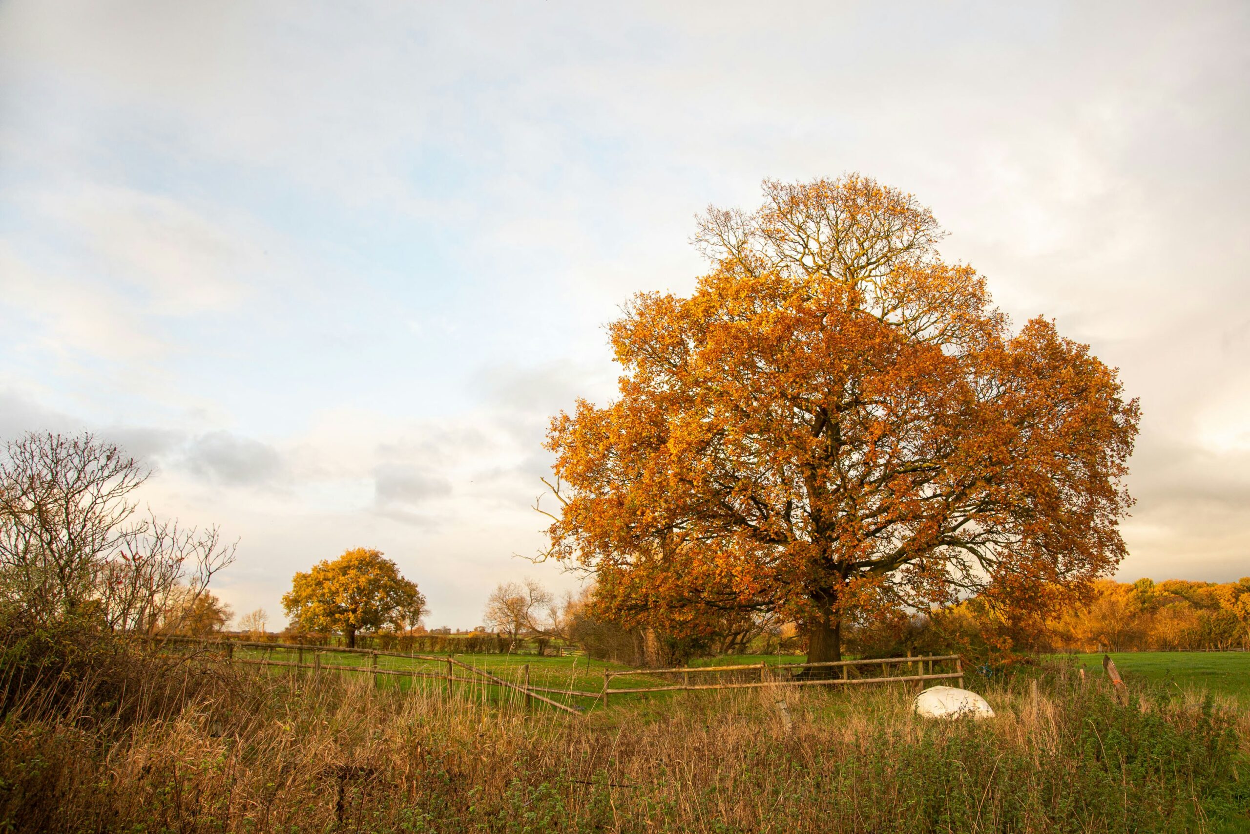 david-griffiths-8yklmoz_ncw-unsplash-media