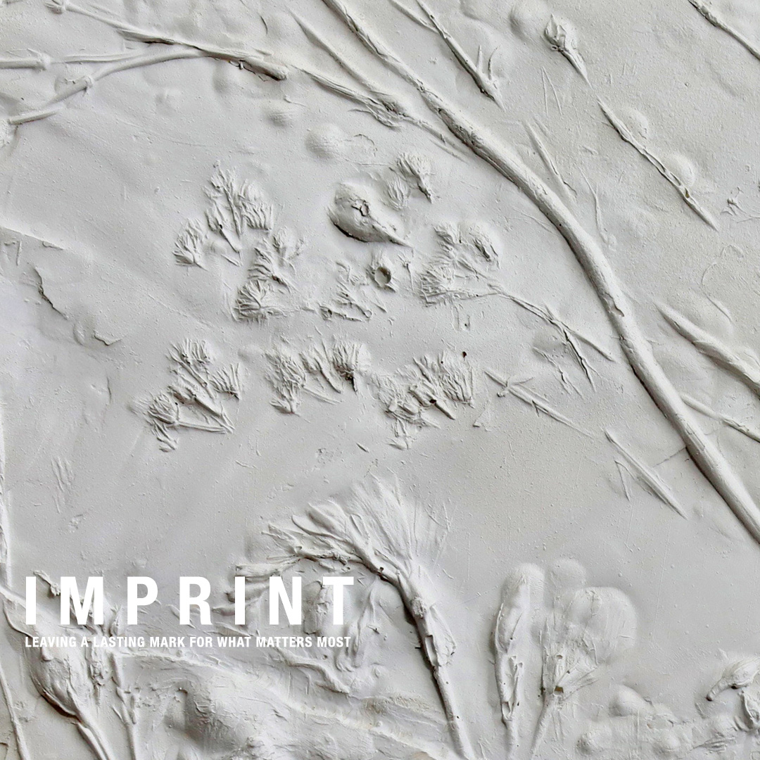imprint-2-media