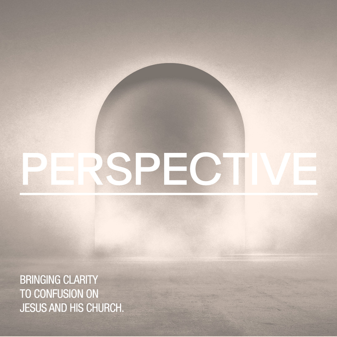perspective-2-media