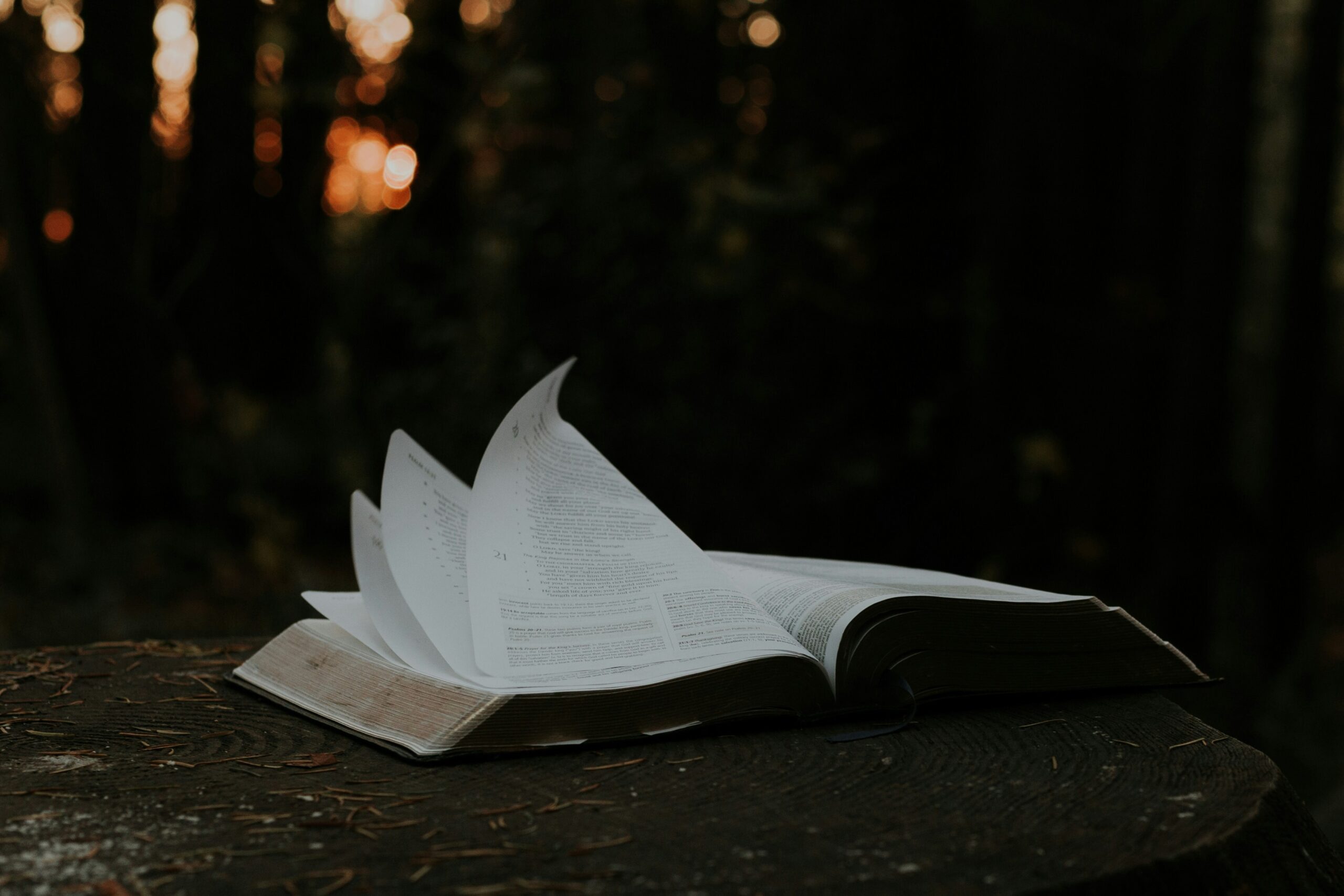 priscilla-du-preez-lipube3_deq-unsplash-1-media