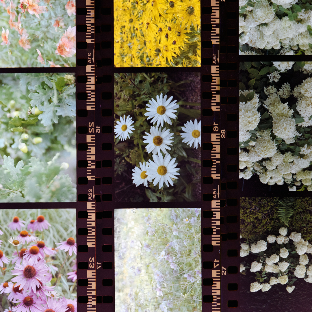 redeeming-the-pain-you-inherited-square-png