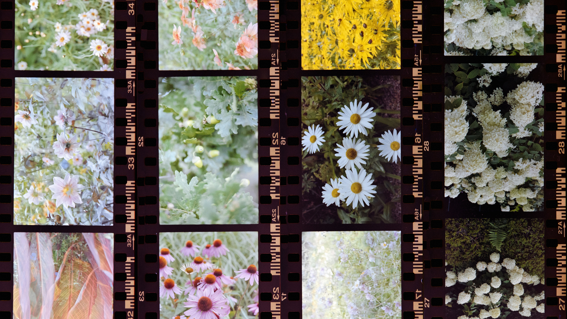 redeeming-the-pain-you-inherited-wide-png