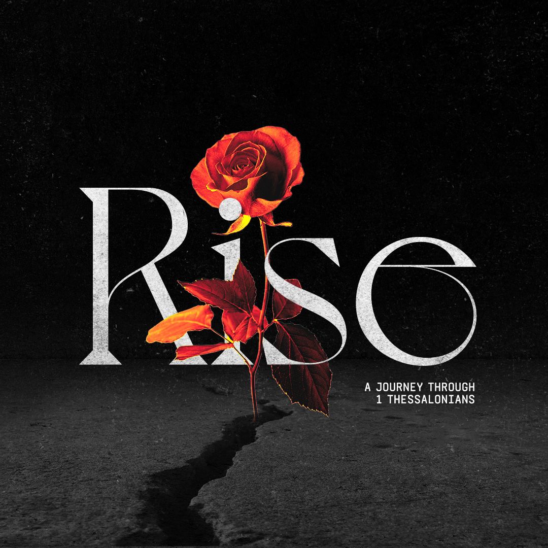 rise-2-media
