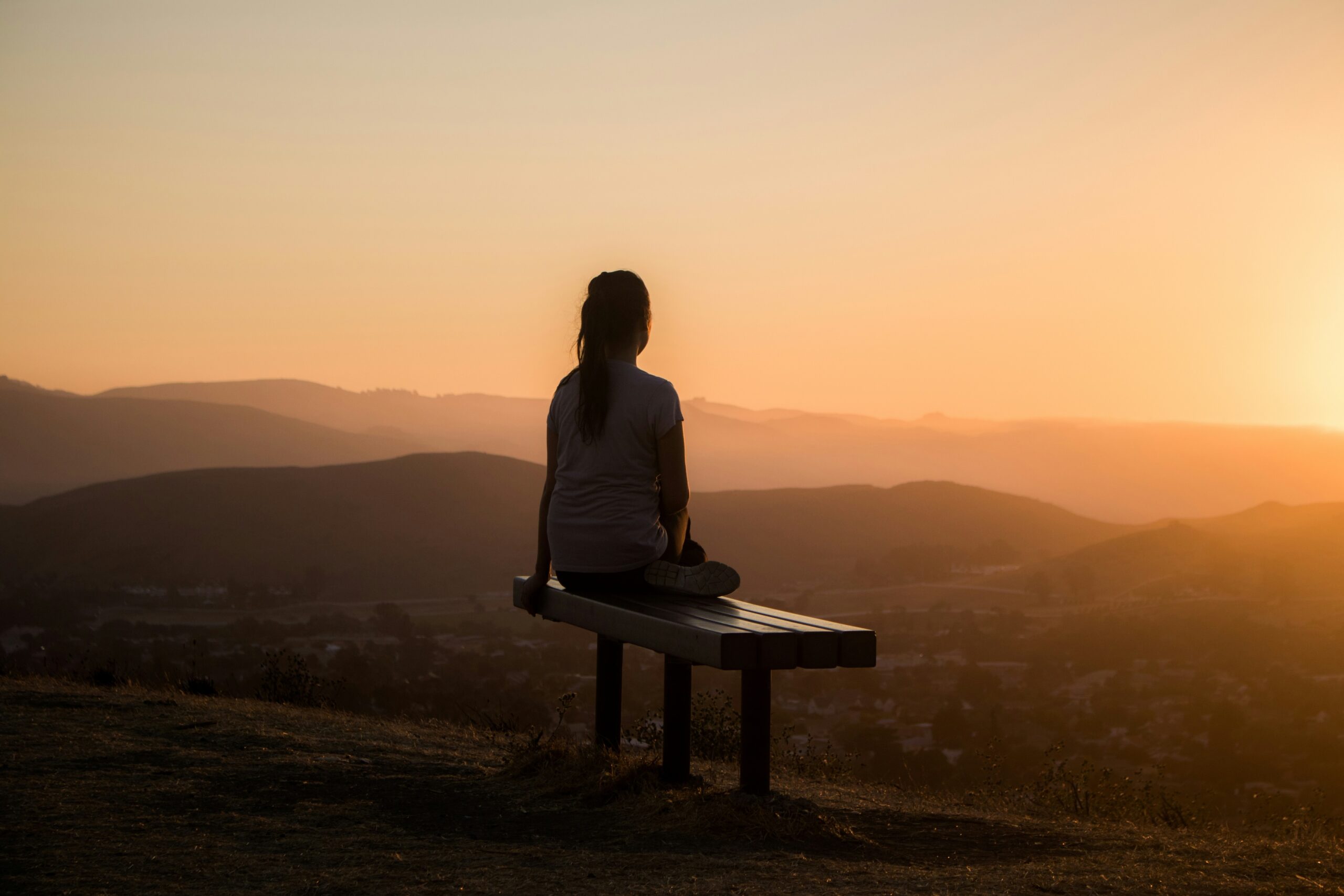 sage-friedman-hs5clnqbcoc-unsplash-media