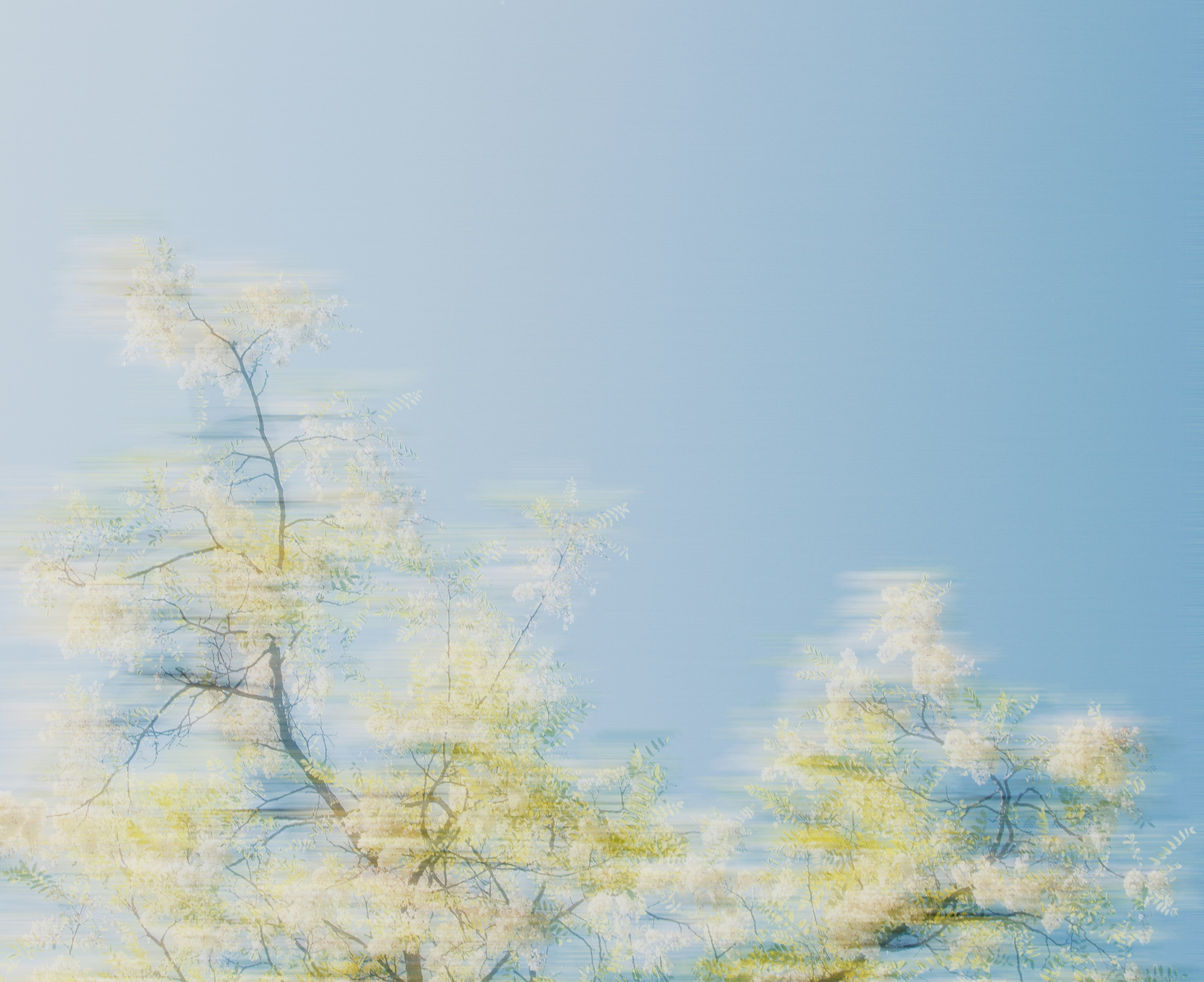 sara-canonici-hcv9xxpgbi8-unsplash-jpg