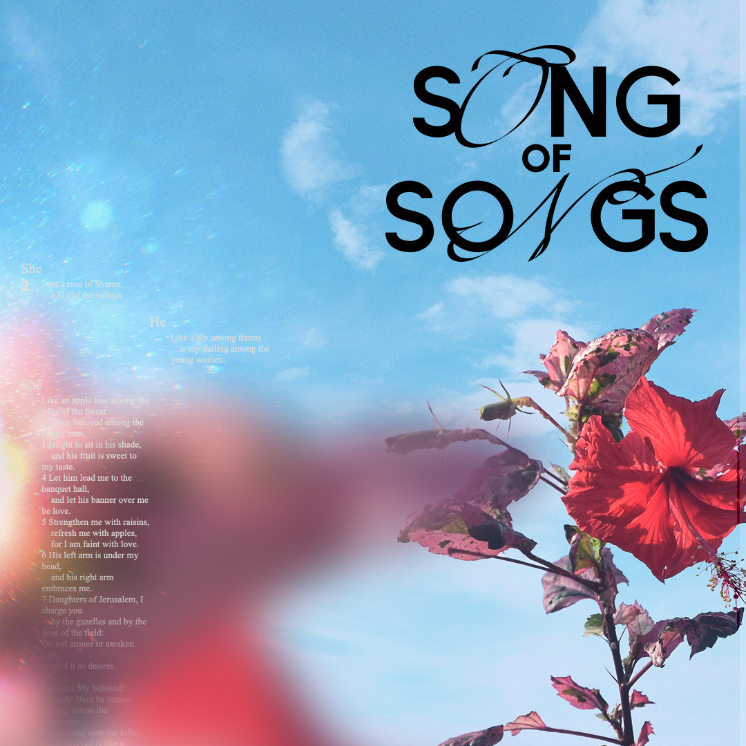 song-of-songs-media