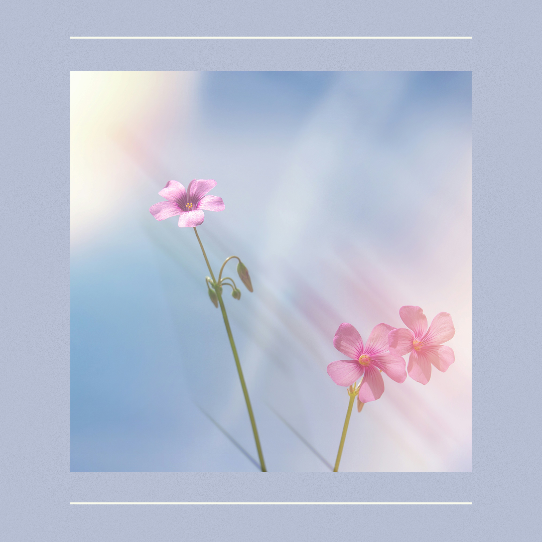 starting-the-process-of-healing-from-church-hurt-thumbnail-square-png