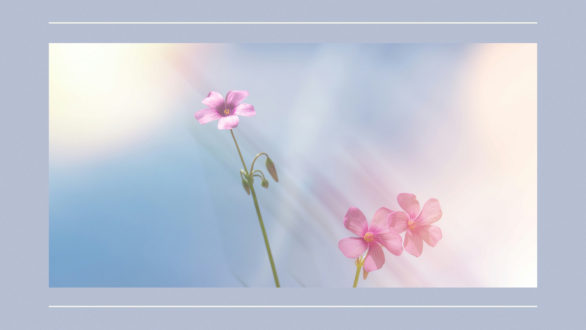 starting-the-process-of-healing-from-church-hurt-thumbnail-wide-png