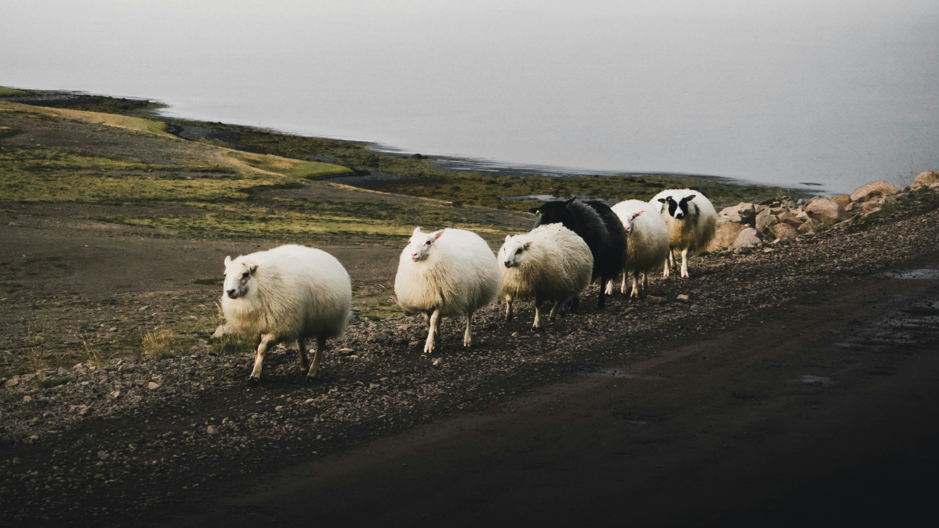 what-to-do-if-i-m-the-only-christian-in-my-family-wide-png